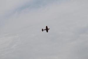 IMG 7805